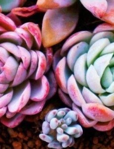 有哪些礼物适合送兄弟订婚？送兄弟朋友订婚礼物排行榜大揭秘
