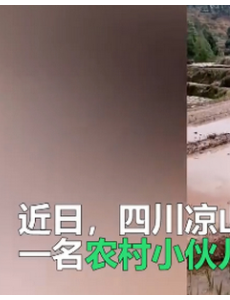 乘风破浪的耕地小伙，网友：有点心疼牛