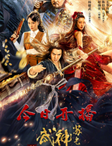 武神苏乞儿之黄金海盗 在线观看完整版剧情介绍