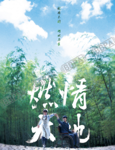 电视剧燃情大地全集免费在线播放,完整版在线观看