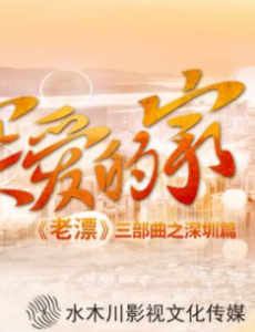 电视剧深爱的家免费完整版在线观看,全集在线播放